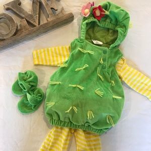 0-6mo Cactus Costume EUC